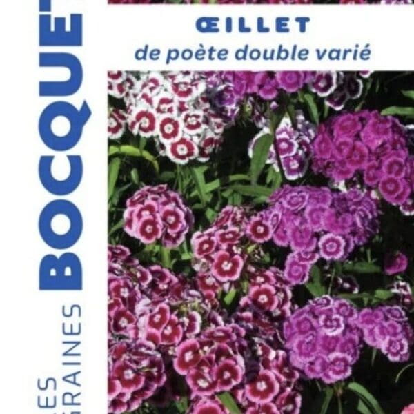 Sachet de graines d’œillet de poète double varié