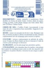 Sachet de graines d’œillet d’Inde double nain varié