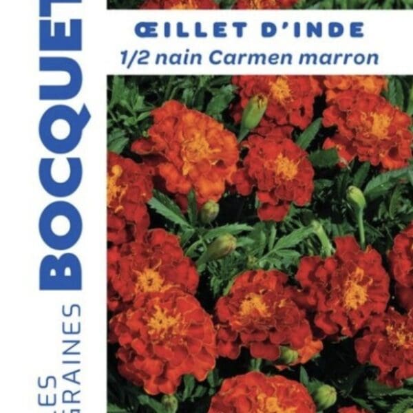 Sachet de graines d’œillet d’Inde marron
