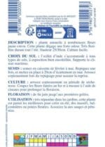 Sachet de graines d’œillet d’Inde nain jaune