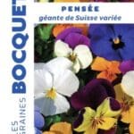 Sachet de graines de pensée géante de Suisse variée