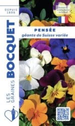 Sachet de graines de pensée géante de Suisse variée