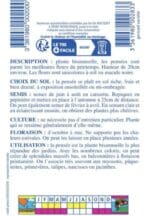 Sachet de graines de pensée géante de Suisse variée