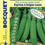 Sachet de graines de pois à rames Express
