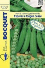 Sachet de graines de pois à rames Express