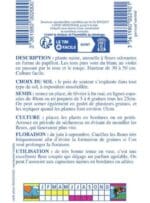 Sachet de graines de pois de senteur nain Cupidon varié