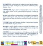 Sachet de graines de pois nain Merveille de Kelvedon