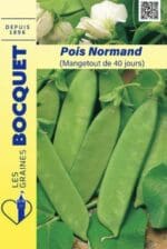 Sachet de graines de pois normand mange-tout
