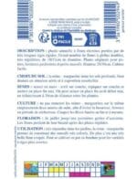 Sachet de graines de reine-marguerite Merveille des Naines variée