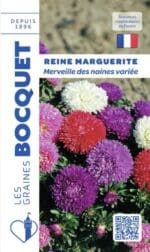 Sachet de graines de reine-marguerite Merveille des Naines variée