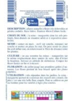 Sachet de graines de reine-marguerite Plume d’Autruche variée