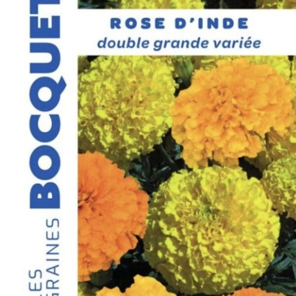 Sachet de graines de rose d’Inde double grande variée