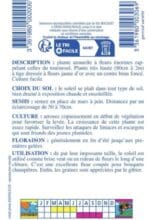 Sachet de graines de tournesol Soleil