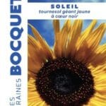 Sachet de graines de tournesol Soleil