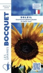 Sachet de graines de tournesol Soleil