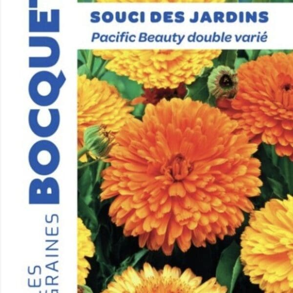 Sachet de graines de soucis des jardins Pacific varié