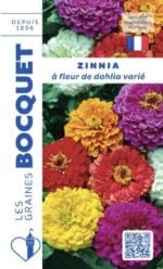 Sachet de graines de zinnia à fleurs de dahlia varié