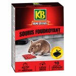 KB Souricide foudroyant 2x10 Grs