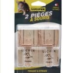 Piège à souris – Dispositif de capture des petits rongeurs