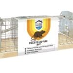 Nasse Rat