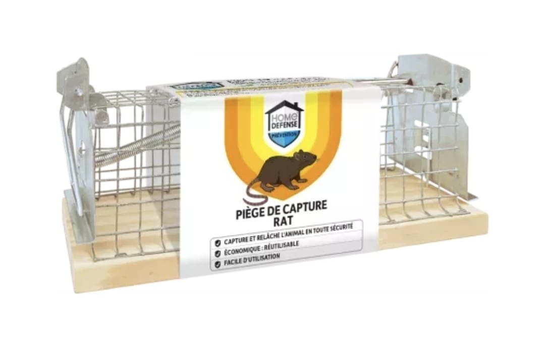 Nasse Rat Nasse Rat – Image 1